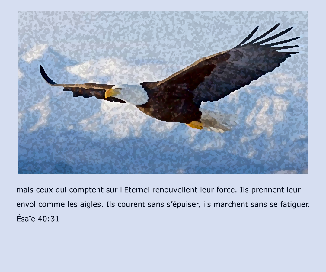 Aigle2